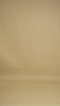 Converted GIF