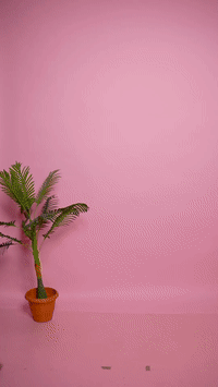 Converted GIF
