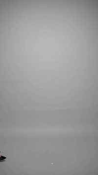 Converted GIF