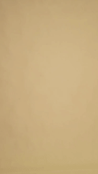 Converted GIF