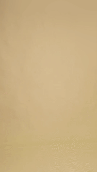 Converted GIF