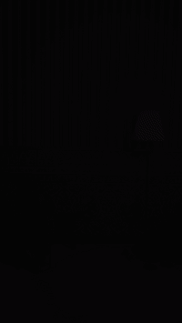 Converted GIF